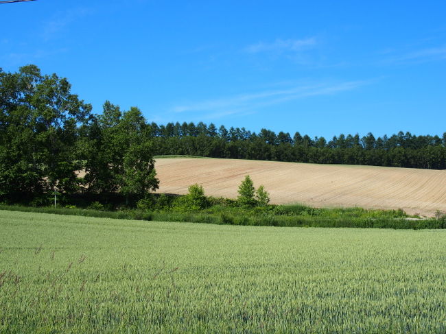 次の場所へ向かう途中の一般道から見えた<br />景色です。<br /><br />富良野や美瑛はほんとにどこでも絵になる。<br />車も少ないので、すぐ停めて写真撮っちゃいました。