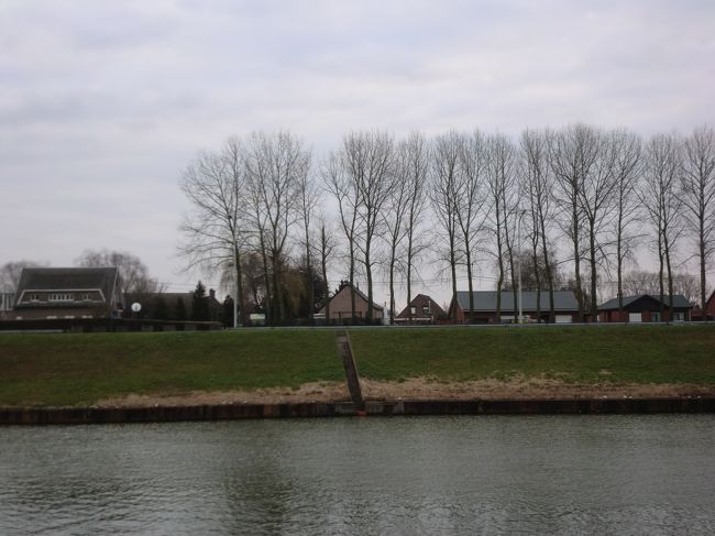 木立の向うに見える家々。