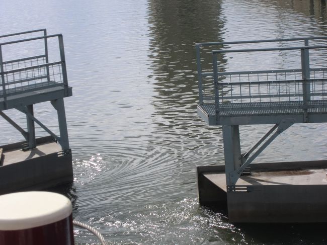 遂にあちらの水位と同じレベルになった。