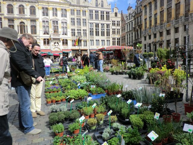 偶数年の８月に行われるフラワーイベントには大勢の人で広場が埋め尽くされるのだという。花苗を買ってゆく人も多い。