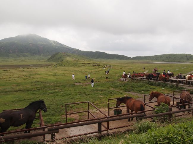 熊本からは、九州産交バスの「日帰りバス旅」に参加。<br />これは予め予約しておいたもの。<br />http://www.kyusanko.co.jp/daytrip/<br />1日コースの「No.9 阿蘇の定番観光スポットを1日で周遊！阿蘇ハイライトコース」に参加したが、結果的には半日コースの「No.75 サクッと阿蘇をひとまわり！阿蘇火口半日コース」でも良かったかも知れない。