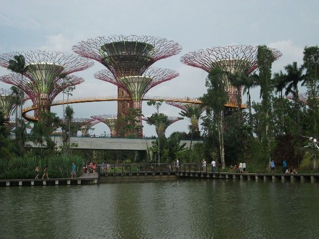 1日目：ガーデンズ・バイ・ザ・ベイ<br />新名所の公園内にはテーマ別の小さな庭園（インド庭園、中国庭園など）があり、更に有料の室内植物園もある。<br />シンガポール人にとって無料の憩いの場所が増えて、うれしいでしょうね。今日はシンガポール人の友人が案内してくれたので助かった。<br /><br />