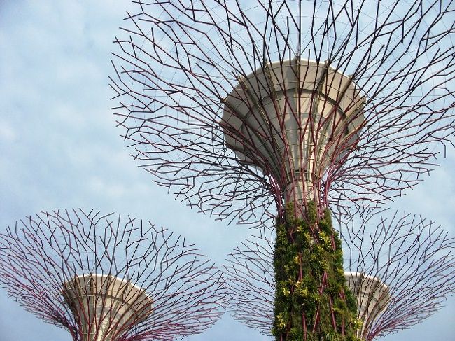 ガーデンズ・バイ・ザ・ベイ<br />スーパーツリー<br />