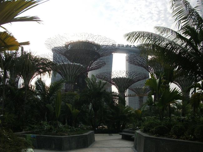 ガーデンズ・バイ・ザ・ベイ<br />公園からマリーナ・ベイ・サンズを撮影