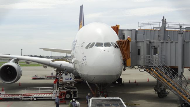 今回は成田からルフトハンザ航空でフランクフルト経由。<br />A380は2回目ですが、正面の顔が愛らしい・・。操縦席の窓の下に口を書いたら顔になる、気がする。