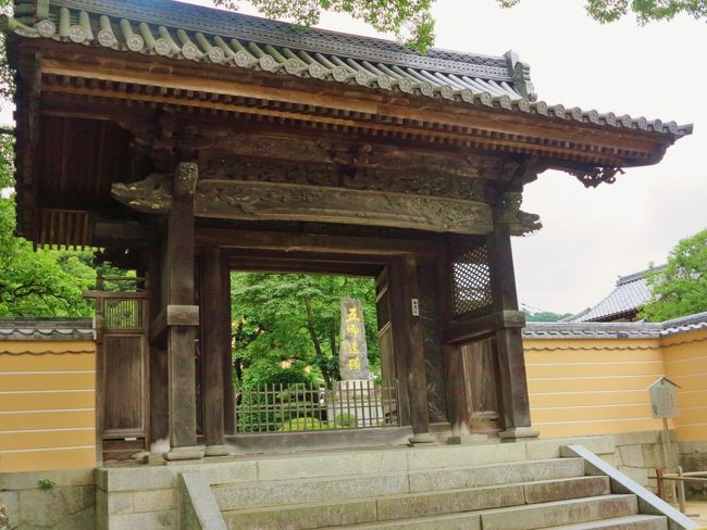 太宰府天満宮 学問の神さまに参詣 ☆現在・過去・未来の橋を渡って本殿へ