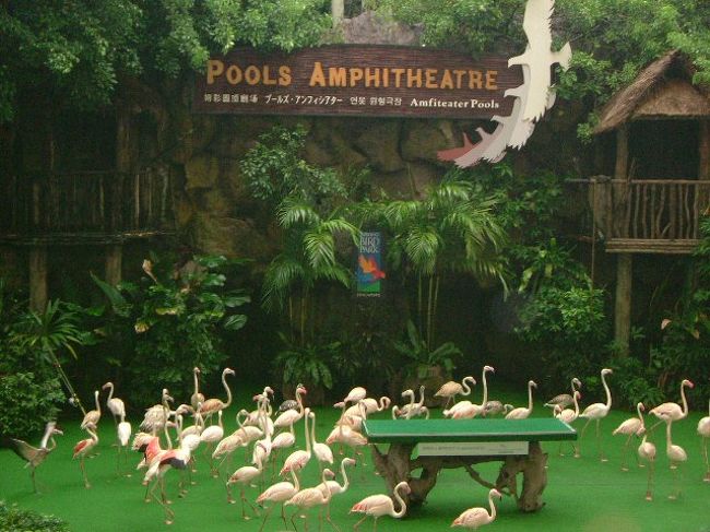 ジュロン・バードパーク<br /><br />今回、バードパークに行っていませんでしたが、過去2回行ったことがあったので追加で掲載しました。