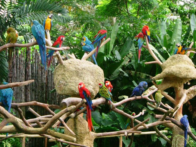 ジュロン・バードパーク