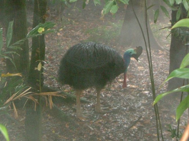 ジュロン・バードパーク