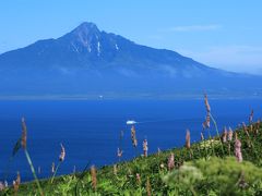 昨日はなかなか山頂まで姿を見せてくれなかった利尻富士☆

望遠レンズで海岸線まで撮れました。
こうして見ると、ホントに島全体が山に見えます。