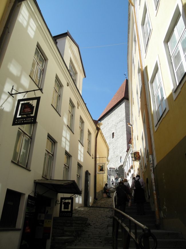 　聖ニコラス教会を出て、トームペア方面へ。<br /><br />　トームペアはお城もある山の手なので登り道なんだけど、こういう雰囲気のある階段だと登るのもさほど苦では無いかも。