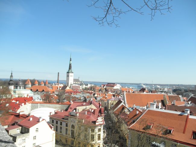 　山の手の展望台から見下ろす旧市街。絵になるよなあ。