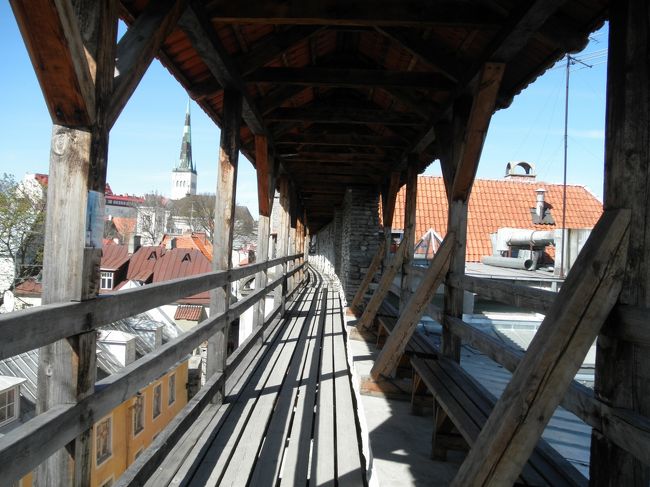 　セーターの壁の近く、ヘレマン塔から城壁に登れます。（２ユーロ）<br /><br />　ということで登ってみました。