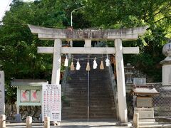 八幡浜の地名の元となった八幡神社

神社は急な階段を上った小高い山の上にあり、風が気持ちイイ！
