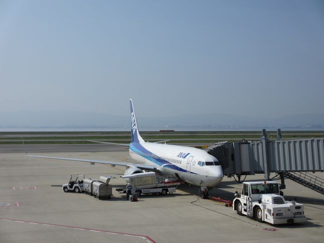 関空発石垣島行き直行便は9:05発につき、ホテル日航関西空港に前泊としていました。沖縄は梅雨明けの予報でしたが、出発前後くらいから旅行後半に台風が来るかもってことでした。<br />よって全体的に天気がイマイチな予報がありましたが、まあ今から心配しても仕方がないかーって気を取り直す。横に座るお出かけ大好き我が子は、キラキラとした眼で<br /><br />「ぱぱ、うみとぷーるでおよぐ〜♪」<br /><br />ってはしゃいでるしね。