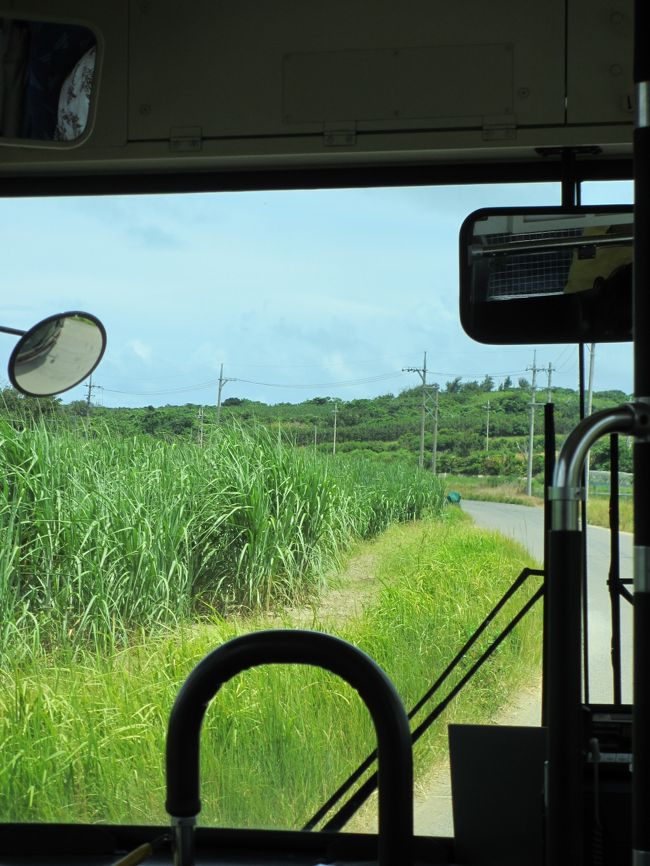 バスでのどかな風景を楽しみつつ揺られること10分で、はいむるぶしに到着です。