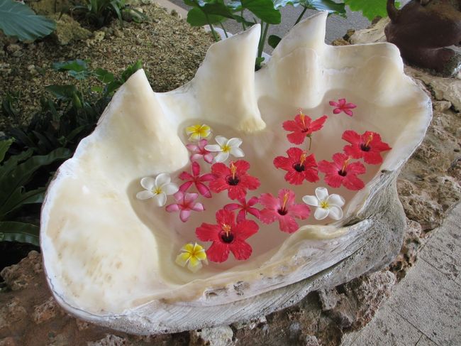 当初はファミリールームないしオーシャンプレミアでの宿泊で3泊を考えていたが、予約が遅かったためか部屋も宿泊数も条件に合わなかった…<br />なので小浜島2泊・石垣島2泊の4泊5日で行程を決め、はいむるぶしはバス・トイレがセパレートのスーペリア(客室43平米＋テラス10平米)で、レンタルカート・朝食ブッフェの付いたプランにしました。