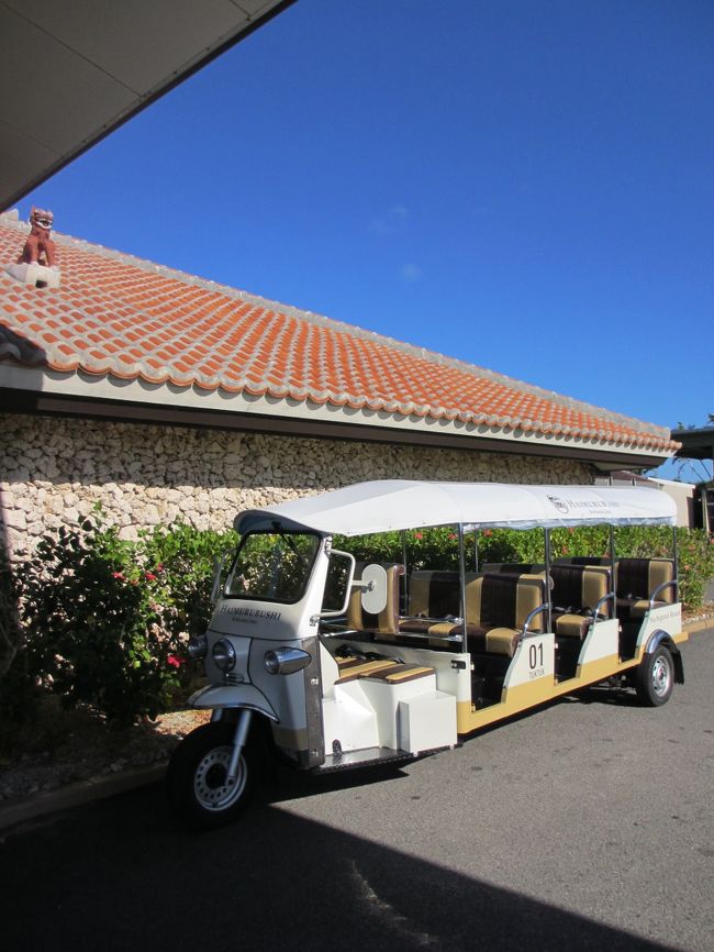 これめっちゃ乗ってみたかったんだが、機会がなかったんですよね。<br /><br />フロントで当日にレンタカー可能か聞いてみると、はいむるぶしに小浜レンタカーの方が迎えに来てくれました。軽を借りてはいむるぶしに戻ってくると、チェックアウトを済ませた妻と子どもは人懐っこいヤギのそばにいました。