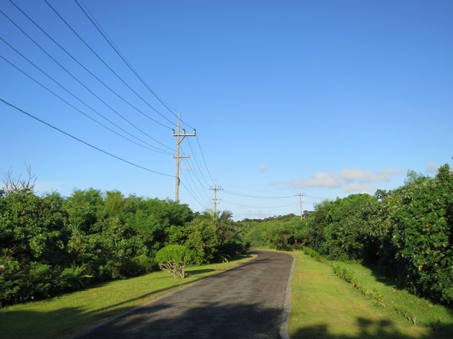 こんな感じでビーチまでは延々と道が続いていました。ハイビスカスって朝咲いて夕方にはしぼむ一日花って、ここで見て初めて知りました。