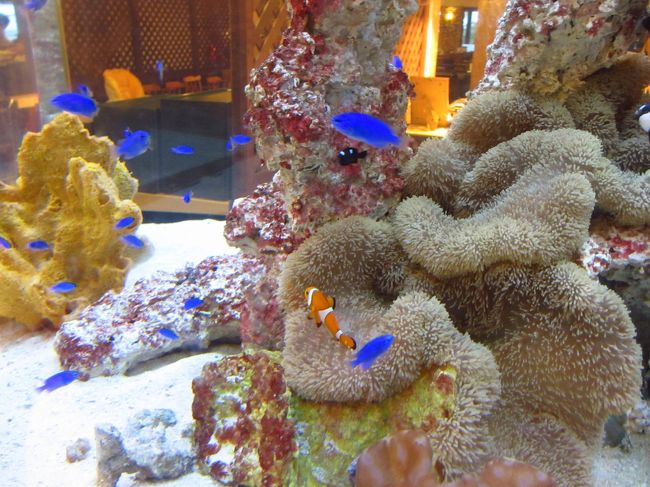 オーシャンパークとプールで2時間弱遊んでから、予約していたブッフェダイニングに向かいました。料金は、大人 4200円・7〜11歳 2900円・3〜6歳 2100円となっています。3歳ってブッフェで値段取られたり取られなかったりの微妙なお年頃なんだよな〜