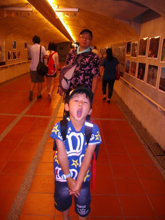 台北駅で駅員さんにどこに乗れば良いか筆記で確認<br /><br />１２車へ行けと<br /><br />ほぼ満員でずっと座れませんでした<br />（チビは床に座らせて）<br /><br />やっと着きました