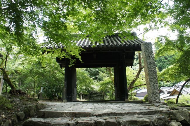 博多山笠のついでに福岡市内の古刹と秋月を巡る旅(三日目後半・完)~黒田長興に始まる秋月藩の歴史と文化を大切に守り続ける福岡の小京都、秋月を味わいます~