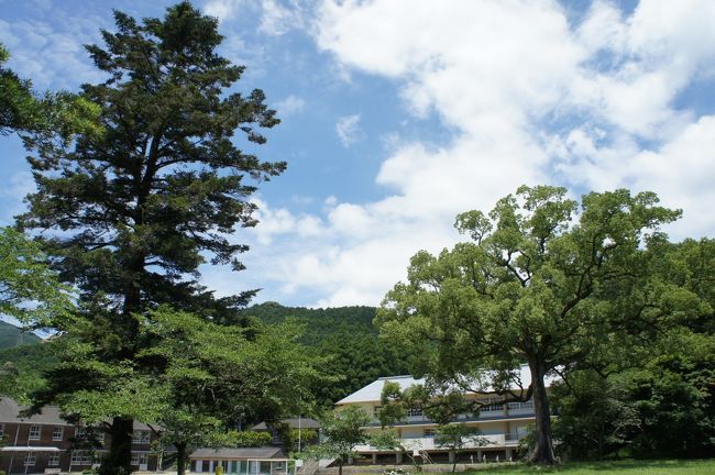 博多山笠のついでに福岡市内の古刹と秋月を巡る旅(三日目後半・完)~黒田長興に始まる秋月藩の歴史と文化を大切に守り続ける福岡の小京都、秋月を味わいます~