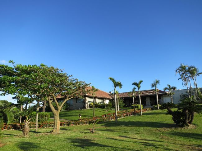 緑が本当に癒されますわぁ。