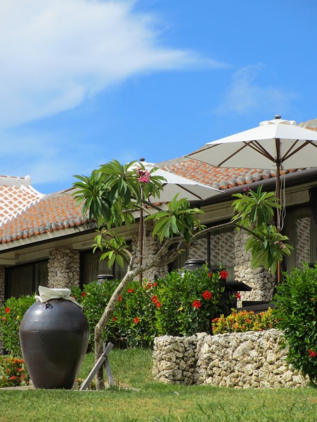 さて我が子よ、オーシャンパークに行くぞ！