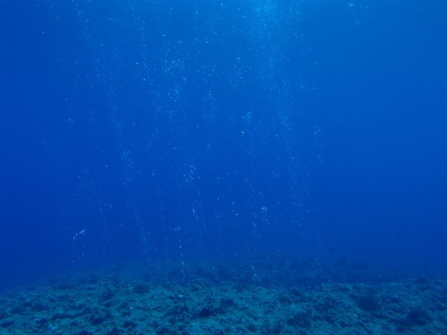 ダイバーの泡。<br />まだまだ寒かったけど、二月に比べればへっちゃら(=´∀｀)人(´∀｀=)