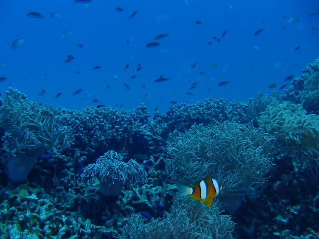 写真もうまくなりたいなぁ…