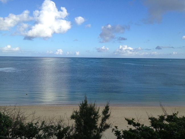 宿泊先のベランダから<br />この景色が大好き！