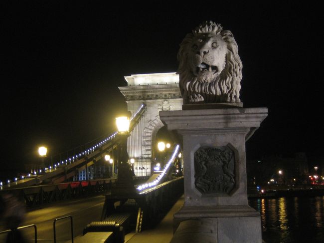 ライオンも寝てます