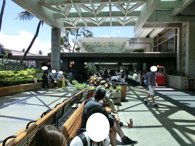 　団体出口を出て、スーツケースを近ツリの方に預けて、バス待ちです。<br /><br />　ここでも、ちょっと待ちました。<br /><br />　この快晴の天気とハワイの風にしばし、浸ってました。