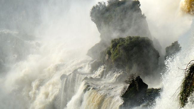 何羽かの岩燕が水しぶきの中に飛び込んで行ってた。
