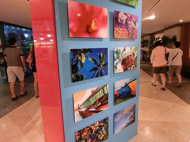 　でも、すごくきれいな写真です。