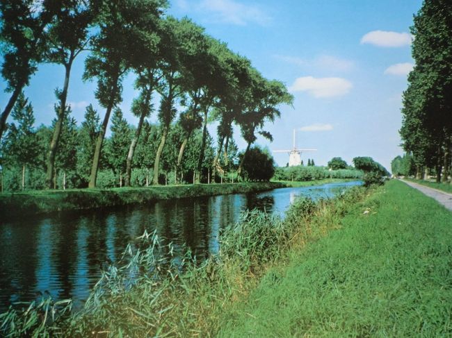 ポプラ並木と風車に彩られた昔ながらの運河がオランダとベルギーを結んでいる。<br />芸術面では北方ルネッサンスで生み出された緻密な写実画が継承され他のヨーロッパの国にも影響を与えたといわれており、ブリューゲル、ファン・ダイク、ゴッホ、ルーベンス、レンブラント、フェルメール等の絵画に親しめたことは予想以上の収穫であった。