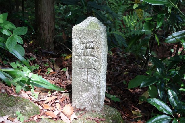 軟弱参詣人とはいえ、こんなものを見ると、若干の後ろめたさも。<br />石段の脇に立つ五丁（約５００メートル）を示す丁石。<br /><br />正しい拝観者は、この丁石に励まされながら登る。「よく頑張ったネ、あと少し、頑張れ」のメッセージの石でもある。