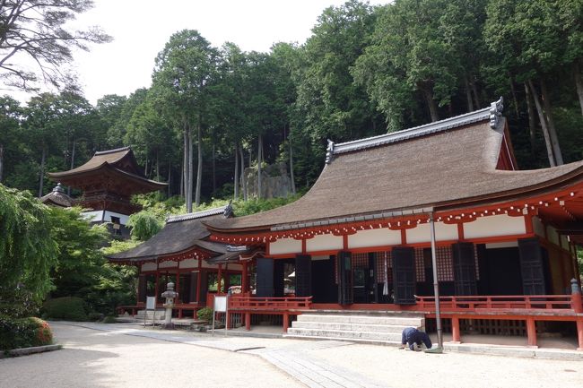 景行天皇の時代（３、４世紀ころ）、宿禰が、この山に生える柳の巨木に「寿命長遠諸願成就」の文字を刻んで祈ったところ、３００歳まで生きたというのだ。（あたりまえだけど、実際に300歳まで生きたわけではないだろうが）<br /><br />健康長寿は今も昔も人々の究極の願い。長命寺の伝説が、人々の心を捉えるのは当然。<br />