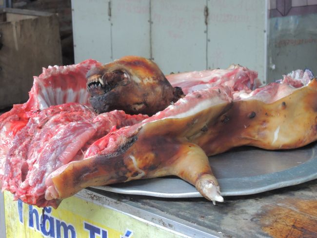 犬食べるんだって〜。<br />犬種ってあるのかな(..)?