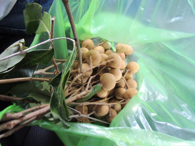 (∩ω∩)買ってくれた♪