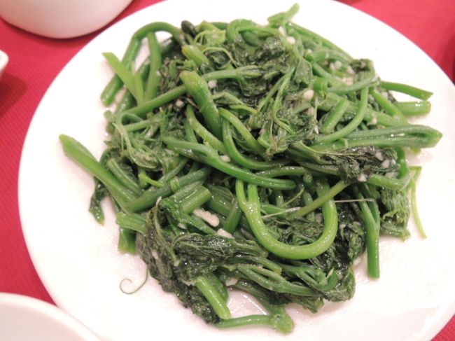 結婚式中みたいで、花嫁さんがいた〜(oﾟ▽ﾟ)