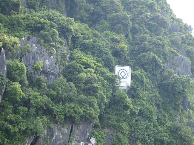 気を取り直して、けしき景色♪