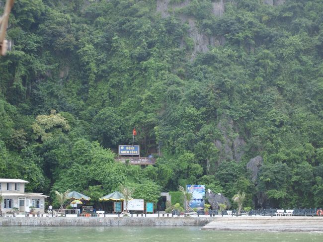 せみの鳴き声がきこえるよ。