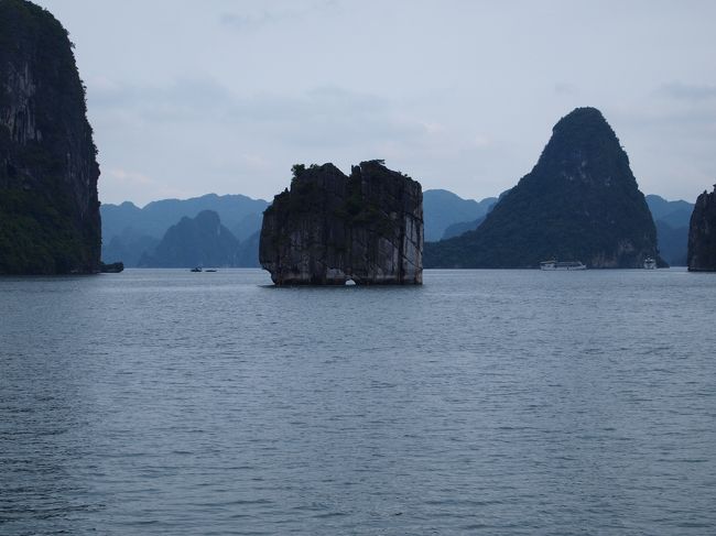 だからﾄﾝｷﾝなんちゃらってお店の名前を良く見たのかな(..)?