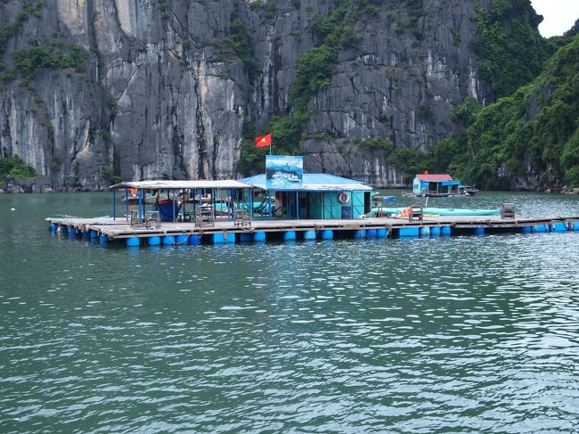 漢字で書くと下竜。<br /><br />