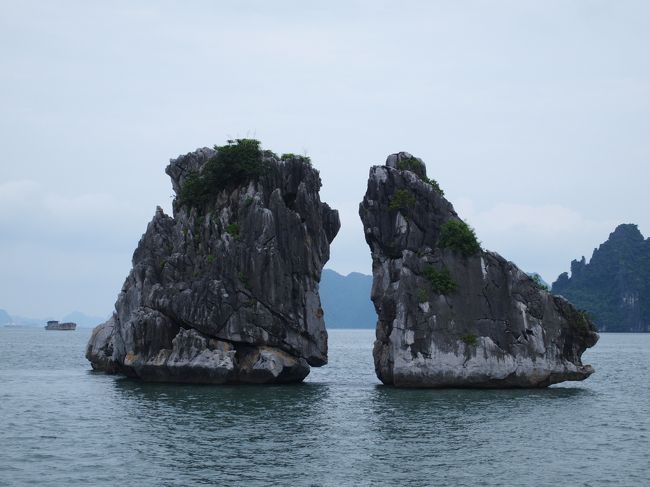 夫婦の鶏とも。
