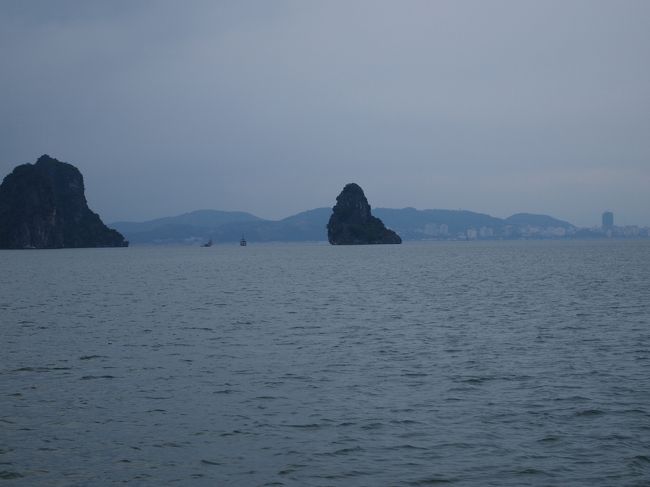 ゴリラと言われてる岩はあの子かしら?