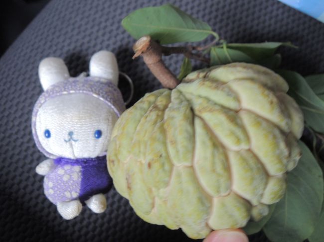 またマンカウもらった〜(｡･ω･｡)♪<br />ぐしゃぐしゃにしてたべたよ(*￣∇￣*)<br />上手に食べれない(笑)