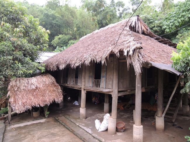 ムオン族は、ベトナムで50以上ある民族の中で、3番目に人口が多いと言われてるみたい(^^)<br />一番多いのはキン(Kinh)族なんだって〜φ(．．)